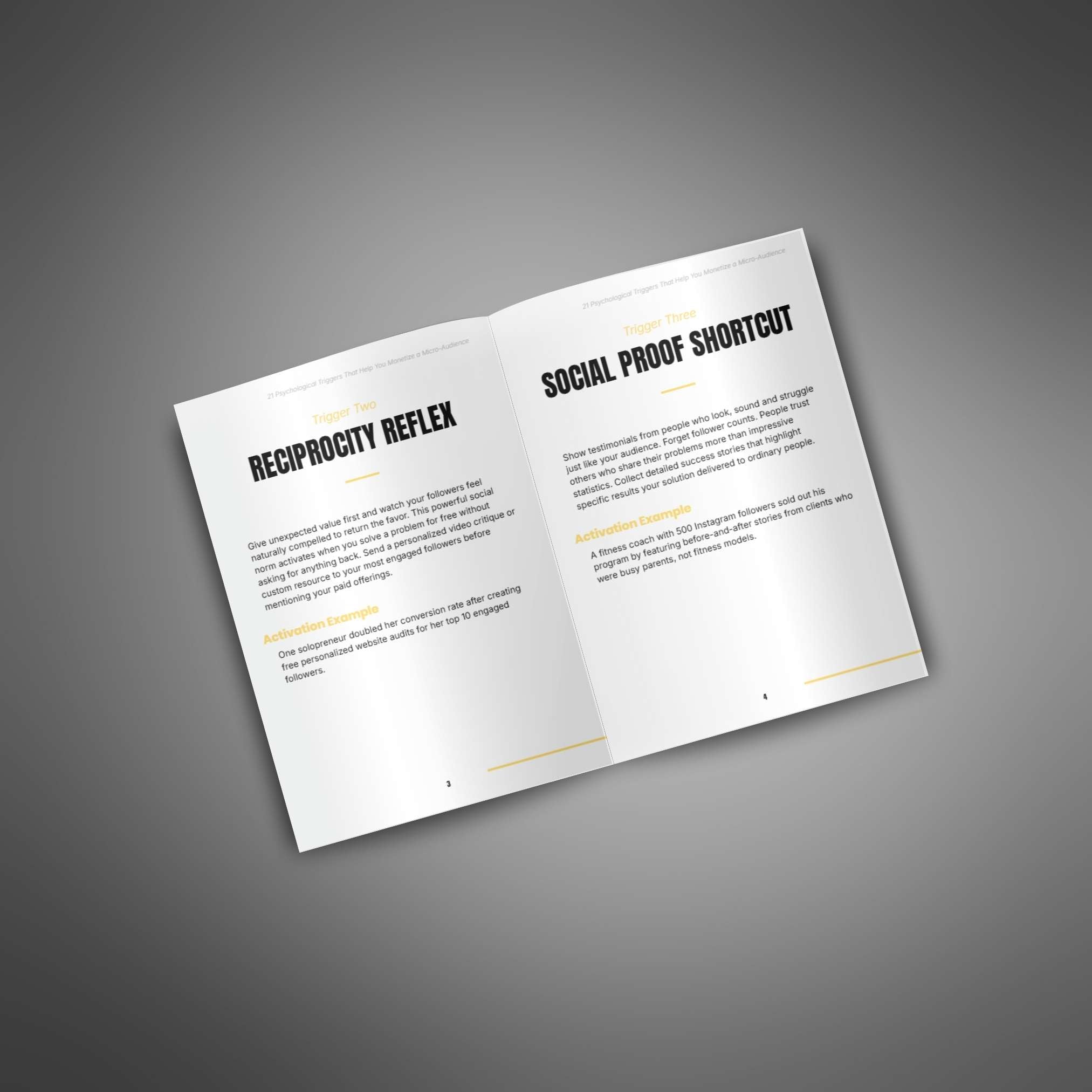 21 Psychological Triggers That Help You Monetize a Micro-Audience