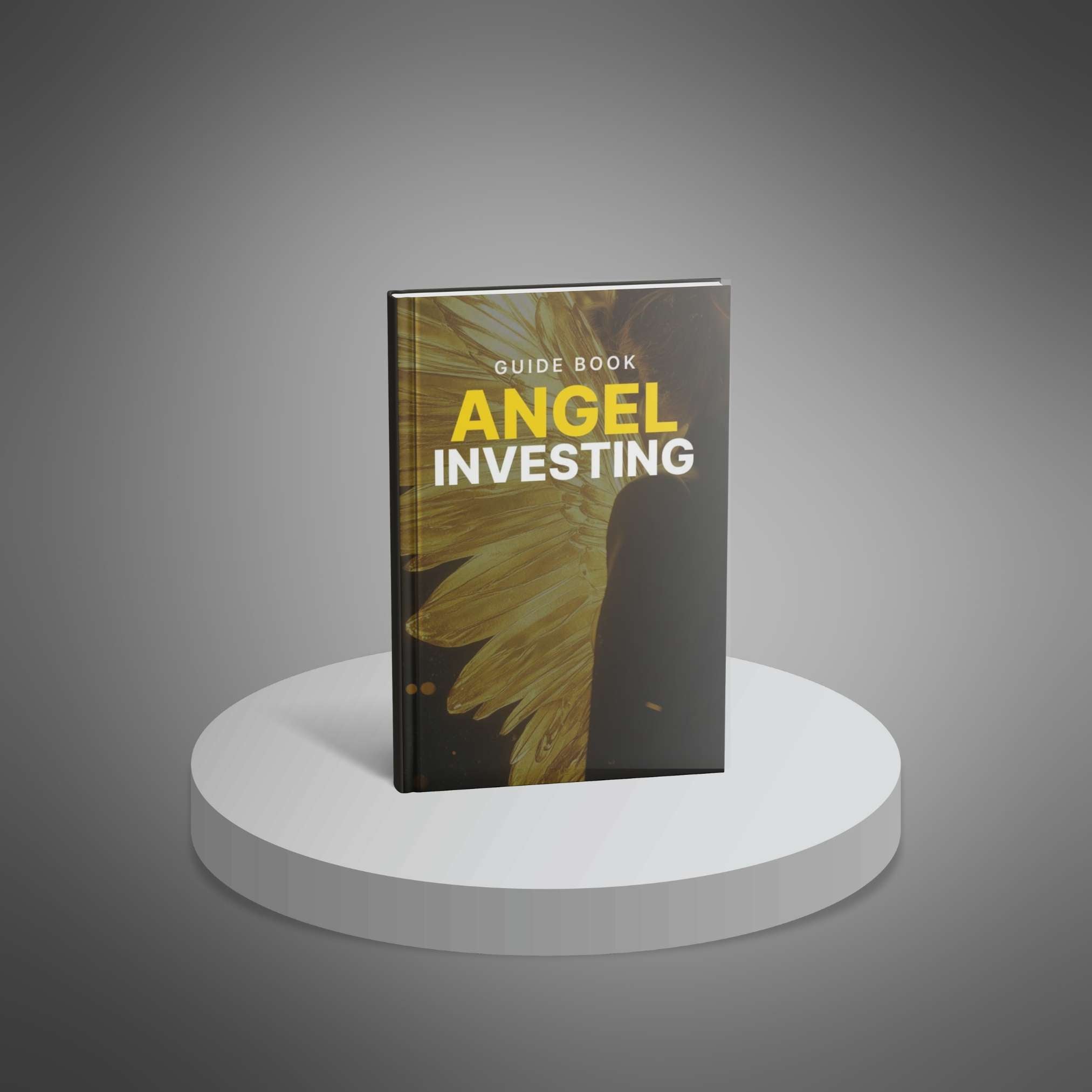 Angel Investing - Guide