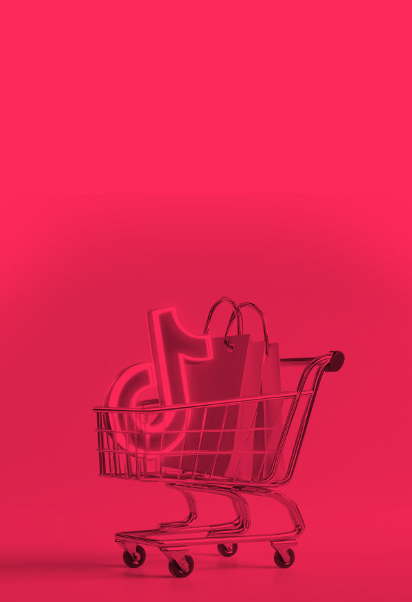 The Power of TikTok Shop – Ebook