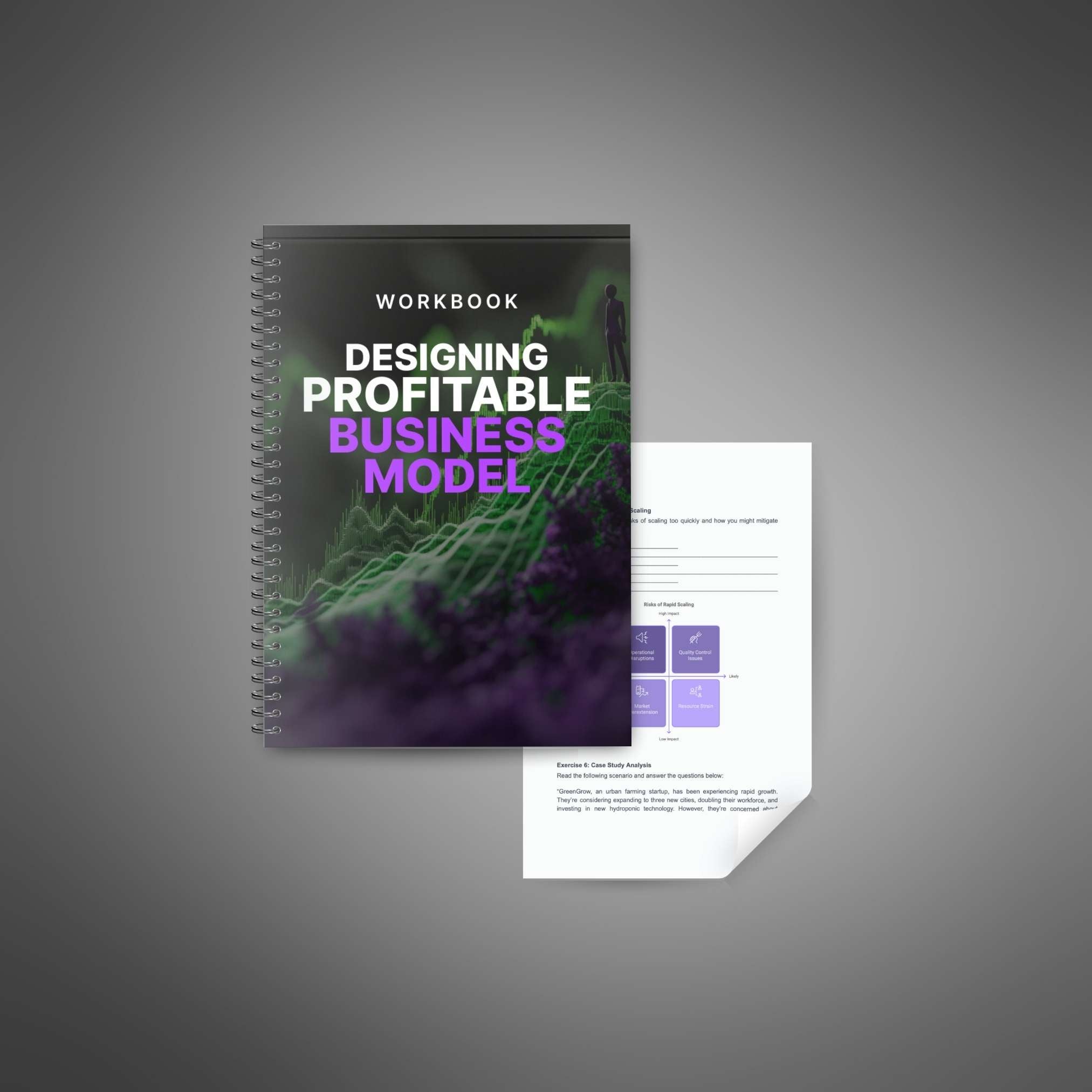 Designing a Profitable Business Model – Workbook