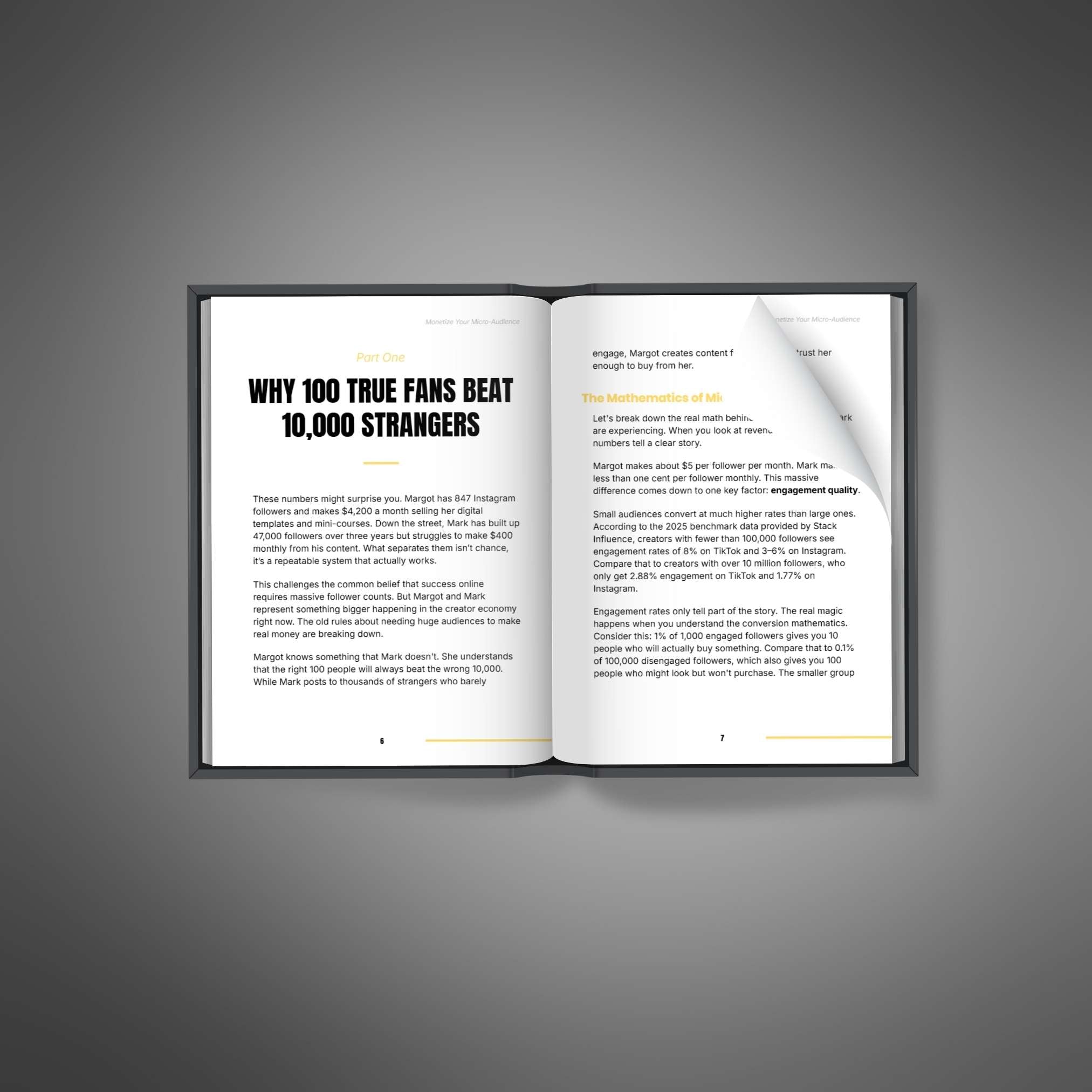 Monetize Your Micro-Audience