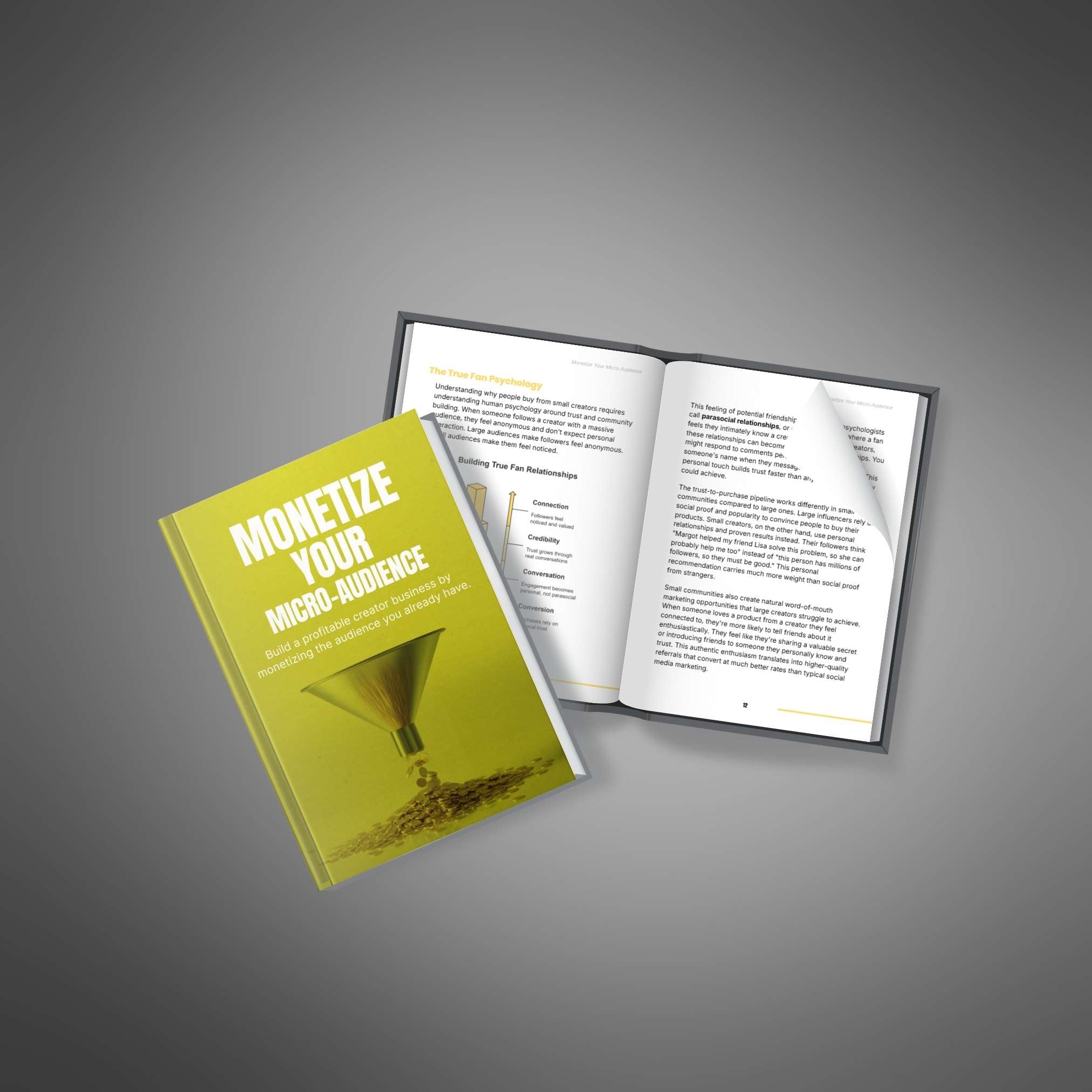 Monetize Your Micro-Audience