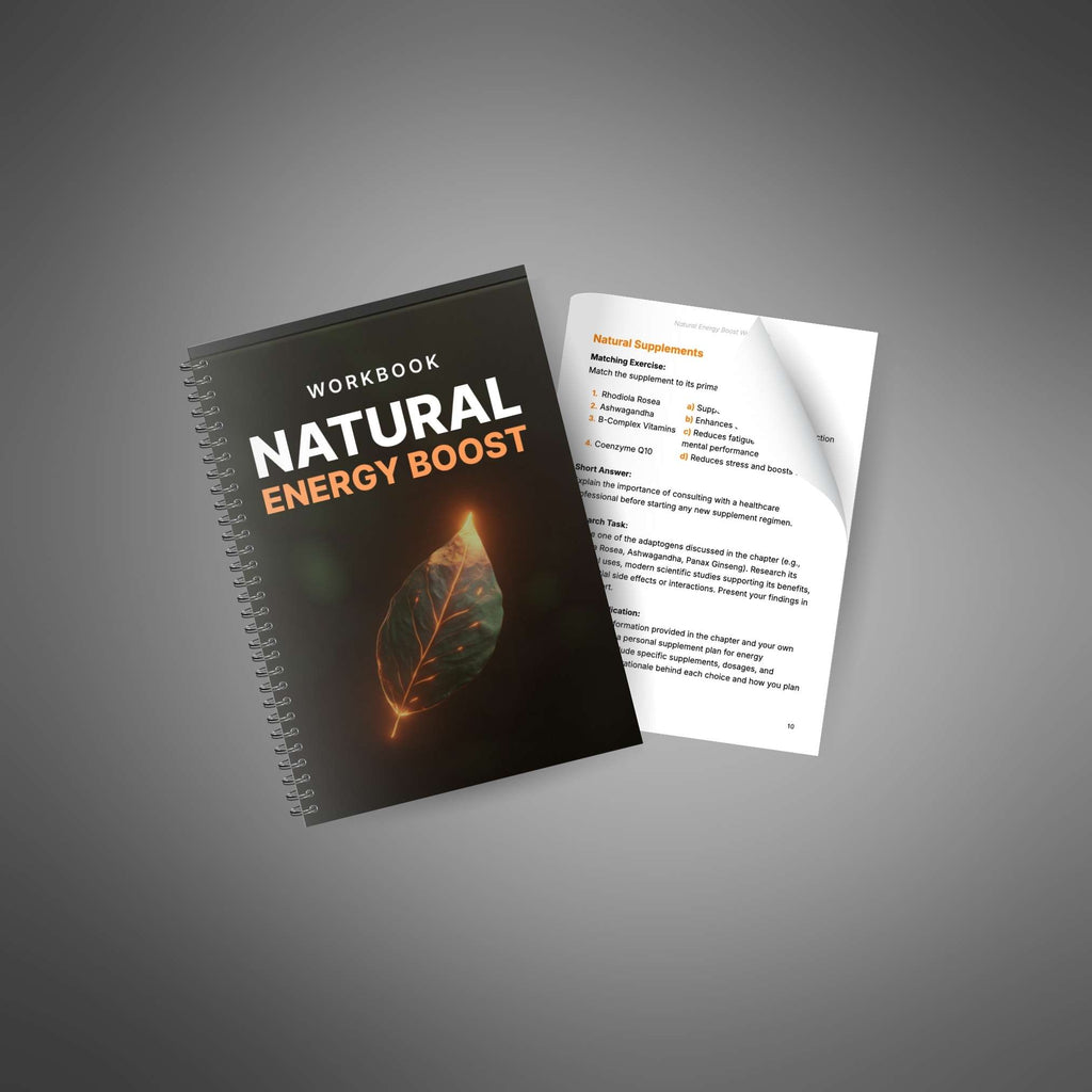 Natural Energy Boost – Interactive Workbook to Increase Vitality, Focus & Well-Being